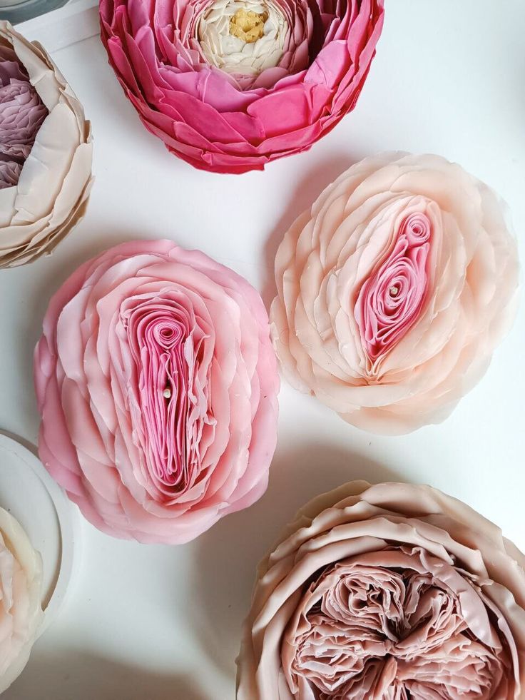 Understanding Thrush: A Loving Guide to Reclaiming Balance in Your Yoni